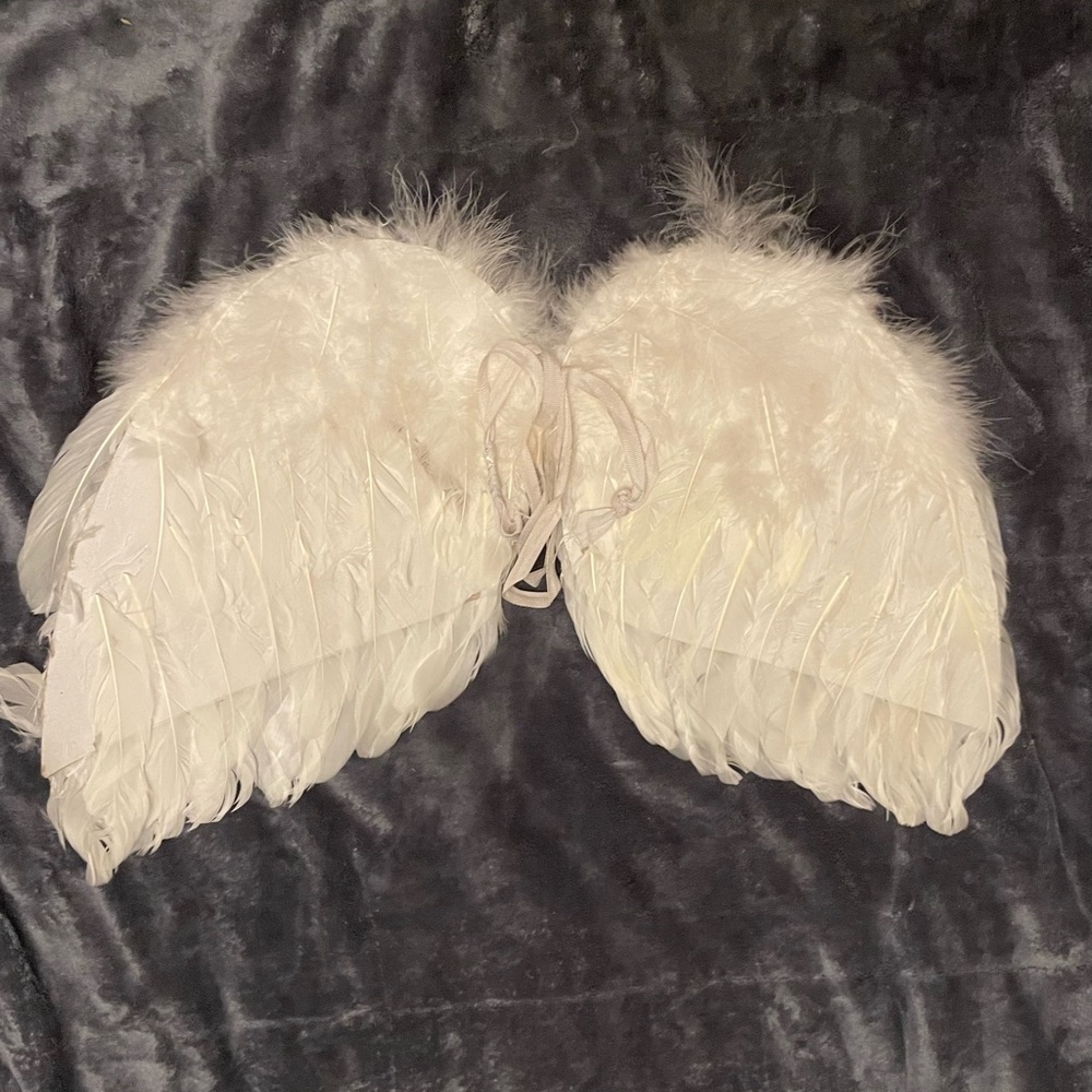 Costume Wings
